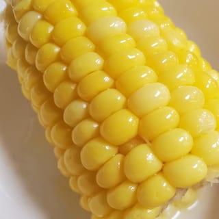 Corn On The Cob
